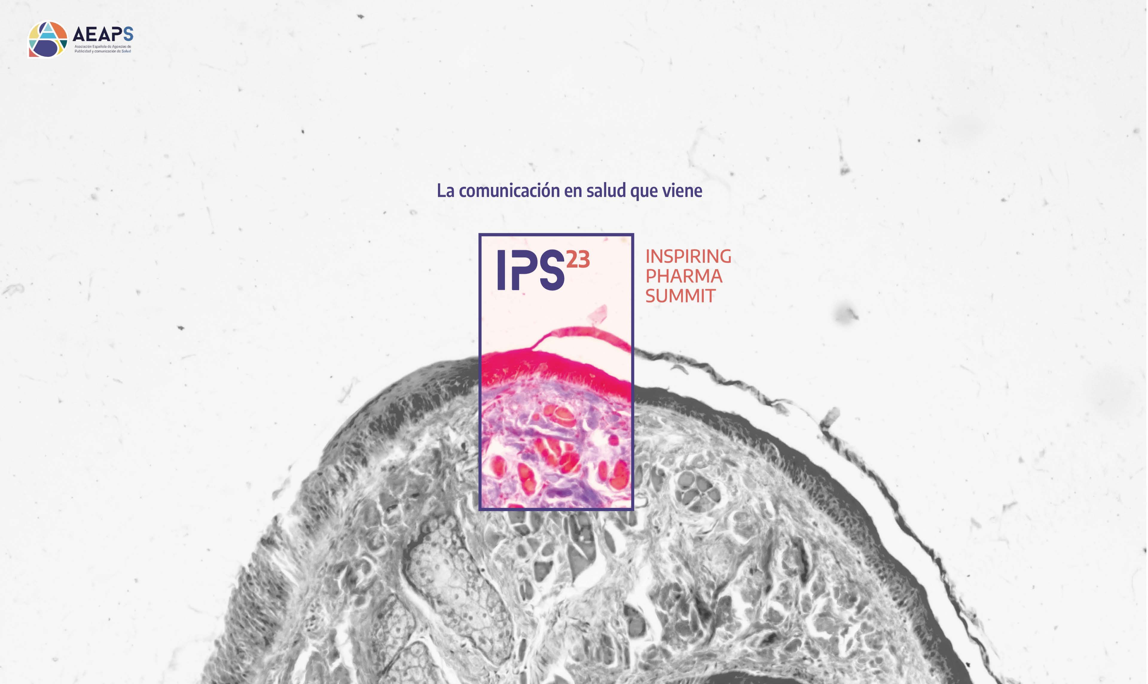 IPS23 ppt Pagina 1