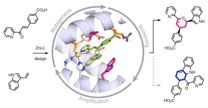 Imagen Nature Chemistry