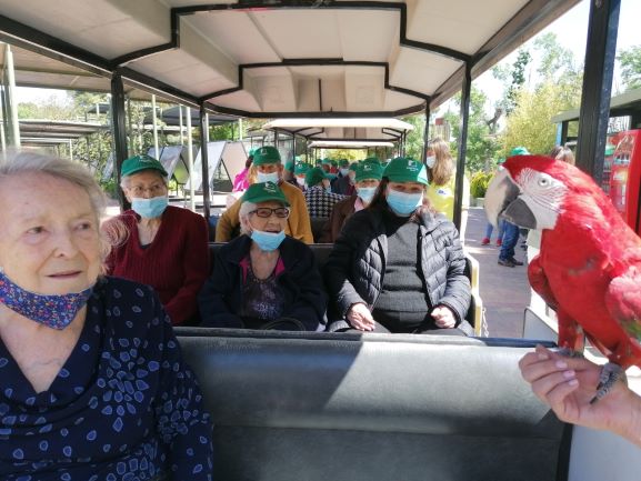 visita de mayores a zoo 3 b