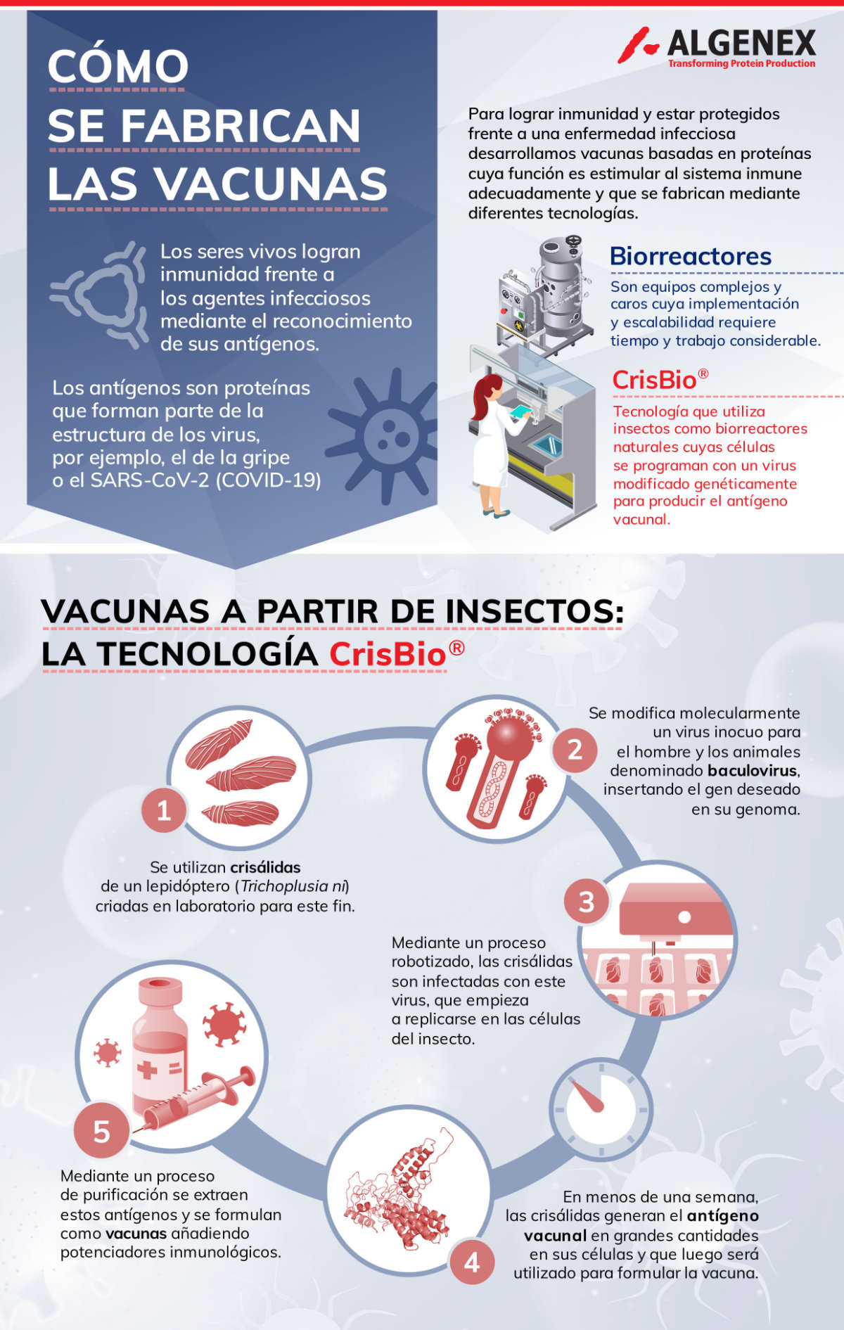 infografia abril2020 pantalla ES
