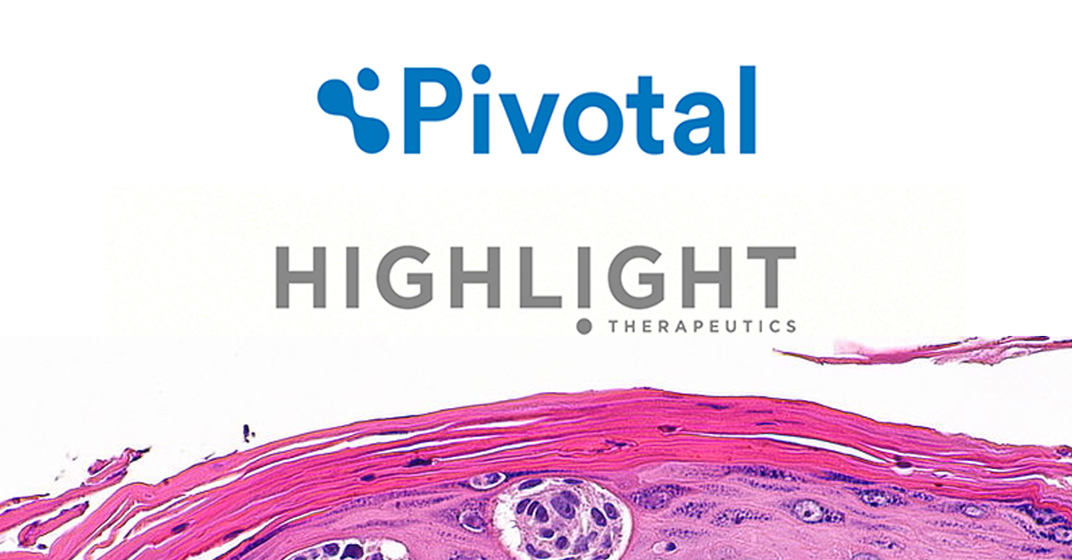 Highlight Therapeutic melanoma web link